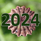 2024p